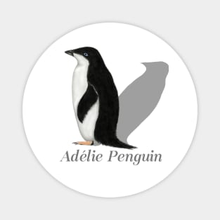 Adelie Penguin Labeled Magnet